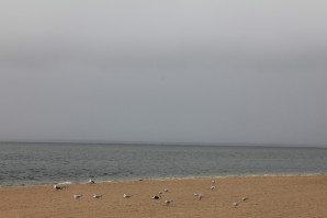 La plage et la mer et les mouettes