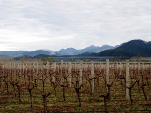 Hiver australe en Nouvelle Zélande 