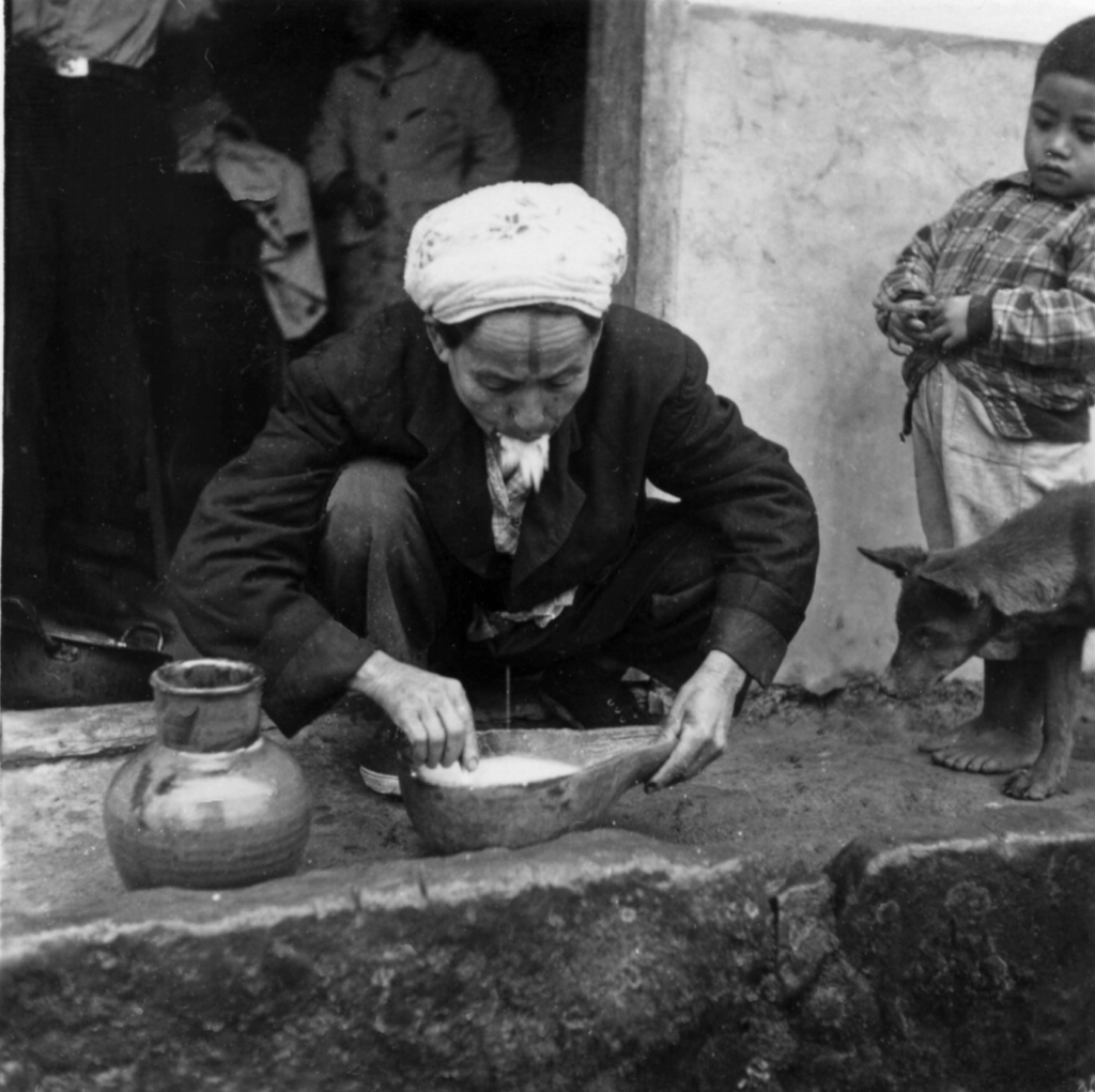 Mastication du riz pour la fabrication d'un saké ancestral