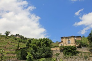 Un château et une appellation 