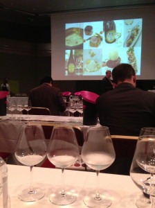 Master Class saké à Vinexpo Bordeaux 