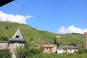 Les vallées du Rhône et ses vignobles