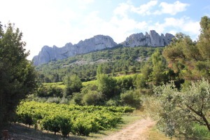 Gigondas 