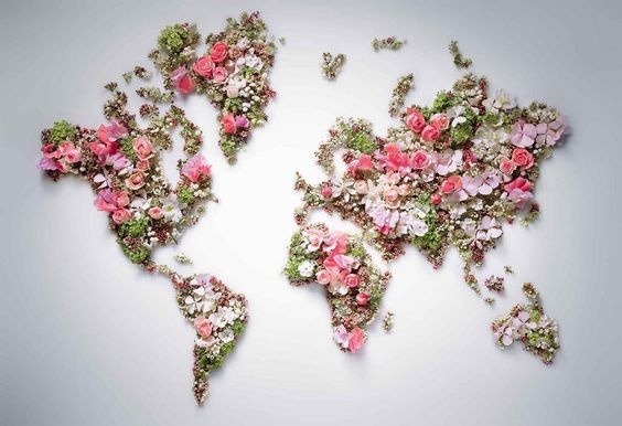 Le monde en fleur 