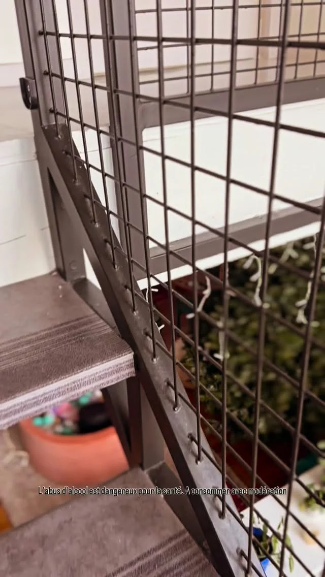 Je ne sais pas vous mais à Bordeaux, chez moi, il y a une espèce d’atmosphère trop bizarre ! Ou que j’aille, quoique je fasse, je me retrouve toujours avec un verre de vin 🍷 de Bordeaux !
•
La preuve en image ! Regardez !! Je ne mens pas ! Les bouteilles se faufilent partout !! Et en plus, il faut les boire (avec modération). Et le pire, c’est que c’est bon ! 
•
C’est pareil chez vous ?
•
•
•
#vin #vindebordeaux #vindebordeaux🍷 #bordeaux #bordeauxwine #winereels #winehumor #winehumour #winewinewine #wineoftheday #wineanddine #winepairing #winecountryliving #bordeauxwinecountry #winecountry #sommelier #winesommelier #humour #wineislife #wineporn #mywinemoment 
•
L’abus d’alcool est dangereux pour la santé. A consommer avec modération.