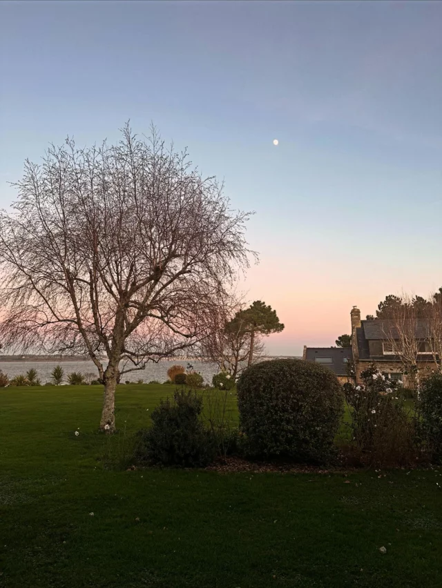 Vulnérabilité. C’est le terme qui définit cette année. 2025 a été synonyme de satisfaction mais surtout de challenge. 

S’il faut faire un bilan pro, alors je pourrais dire que j’ai accompli de belles choses avec l’ouverture de mon restaurant @oba.bordeaux fin février,  l’écriture (presque finie) de « 111 vins de Bordeaux à ne pas manquer » @111_lieux , mes voyages au Japon pour JETRO - Japan External Trade Organization  et en Chine avec le Concours Mondial de Bruxelles  ainsi que mon titre de Saké Master 2025 @kura_master_fr @lamaisondusake. 

Pourtant ces « victoires » ont mis à vif ma vulnérabilité. La fatigue accumulée des années d’entreprenariat a surgi avec un nombre incalculable de questions sur l’avenir et de doutes. J’ai été accompagnée de tristesse et d’un sentiment d’impuissance face à la crise viticole. J’ai aussi été usée par le comportement de certains qui n’ont aucune classe, aucune intelligence et aucune compétence. 

Après un épuisement émotionnel et physique en octobre en même temps que la victoire du Saké Master, j’ai pris le taureau par les cornes pour prendre soin de moi. Et curieusement, c’est pas comme le vélo : ça s’oublie. C’est donc toujours en cours.

Malgré cette tempête, je suis reconnaissante de ceux qui m’ont fait confiance cette année et qui m’ont soutenu. Merci aux écoles qui me permettent de partager et transmettre. Merci à tous les viti qui ont répondu présent pour le livre. Merci aux fidèles de la première heure et à tous ceux qui m’ont apporté des marques d’affection. 

La charge mentale est réelle. Être cheffe d’entreprise c’est des sacrifices mais aussi du libre arbitre. Je ne reste pas fermée à l’idée de trouver un poste salarié comme Brand Ambassador avant 2027 qui marquera les 10 ans de ma SARL. Mais pour l’instant je me concentre sur l’important pendant mes premières vacances de l’année : ma famille et surtout ma Paloma. 

Belle année 2026 à tous avec toujours de la bienveillance, de la justice, du courage et un peu de vulnérabilité mais pas trop ! Amor Fati 2026.

#vulnerabilityisstrength